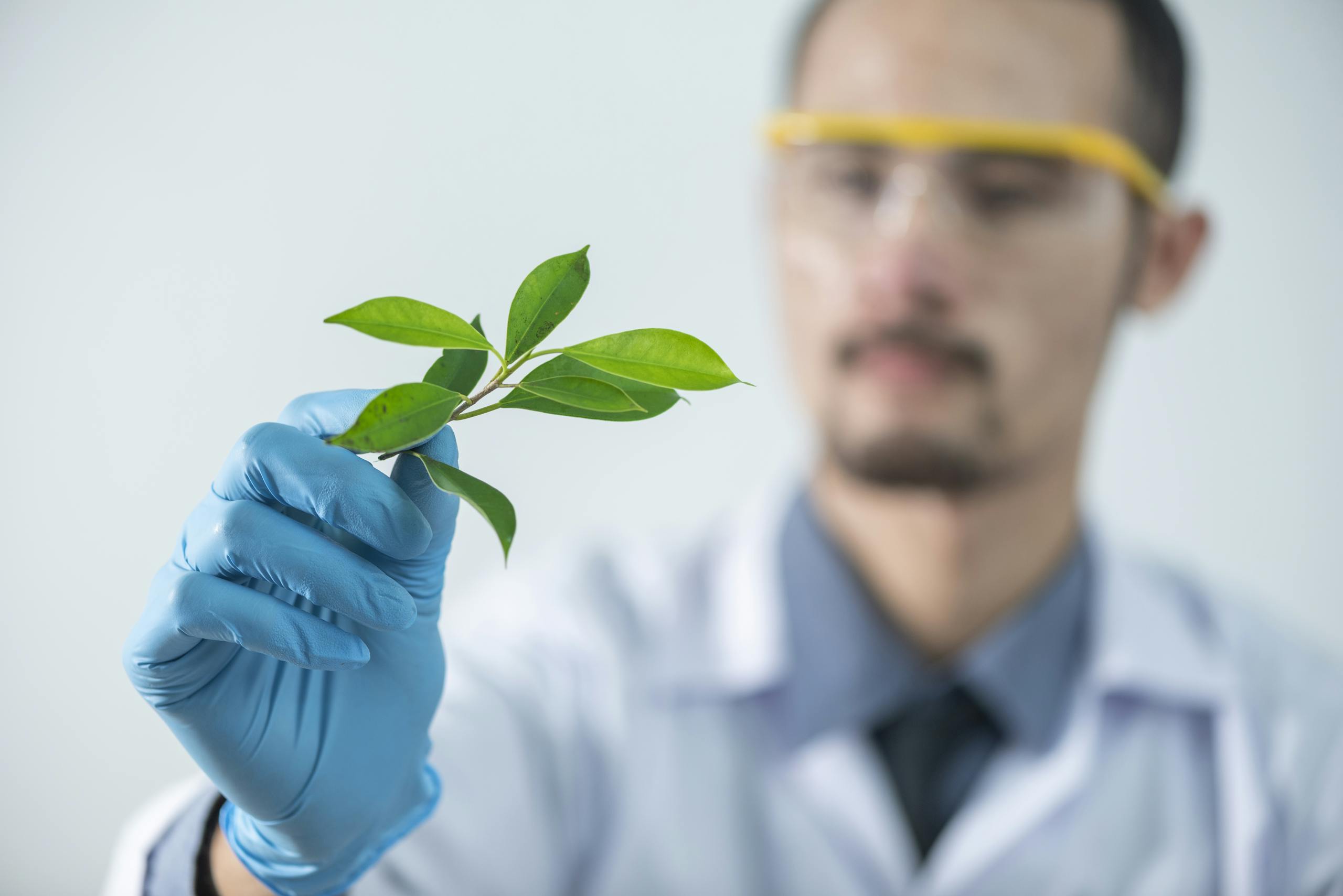 Young scientist wearing protective gloves and examining a plant sample in a laboratory setting.